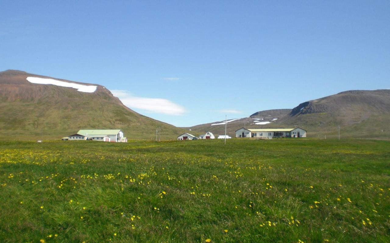 Steinnyjarstathir Skagastrond Luaran gambar