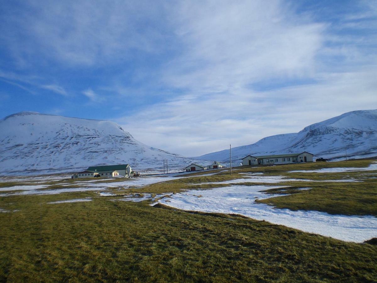 Steinnyjarstathir Skagastrond Luaran gambar