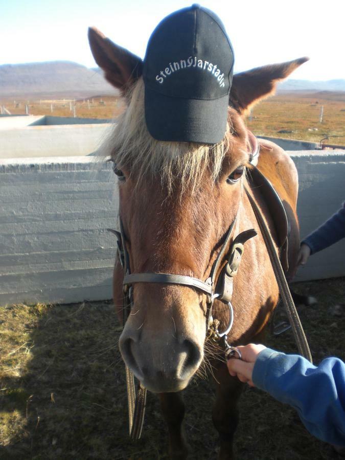 Steinnyjarstathir Skagastrond Luaran gambar
