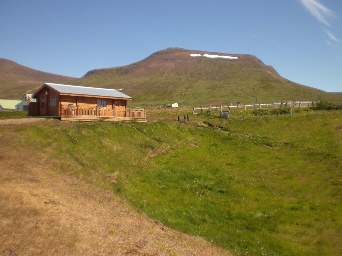 Steinnyjarstathir Skagastrond Luaran gambar